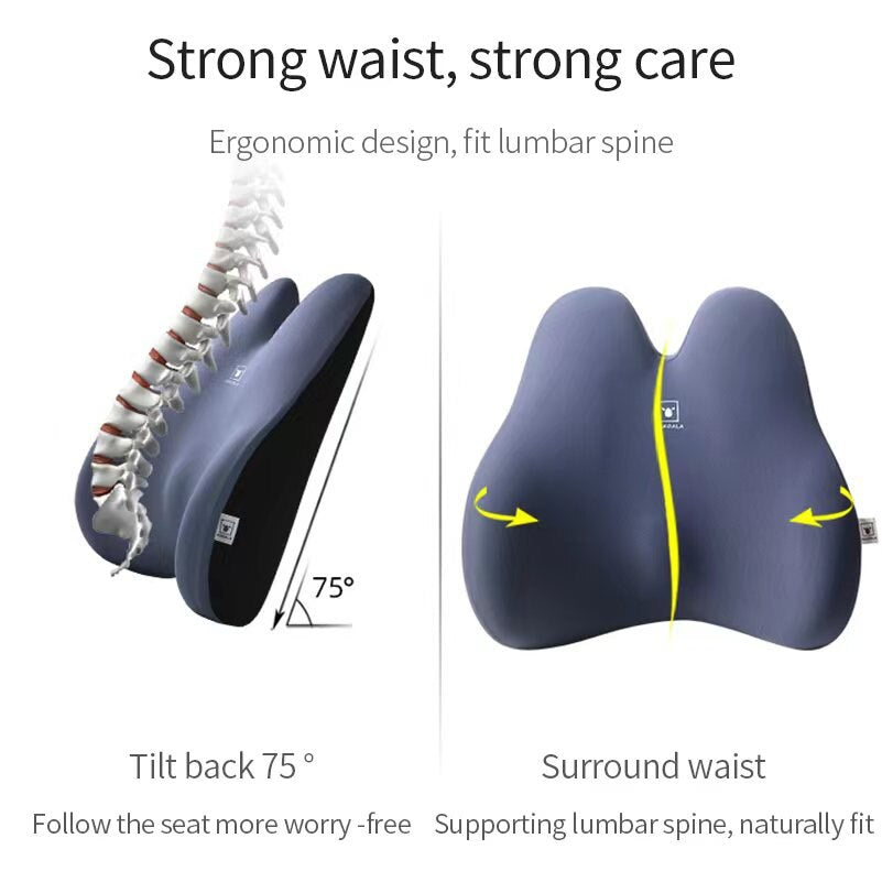 Back support Memory Form